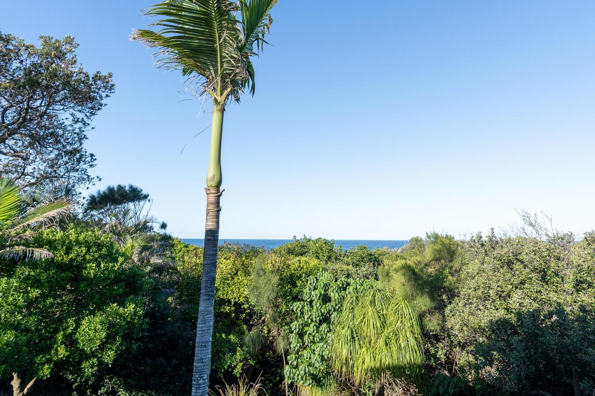Glen Eden Beach Resort Peregian Beach Exteriér fotografie